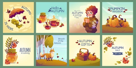 flat autumn instagram posts collection vector design illustration