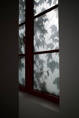 window in the dark with leaves outside