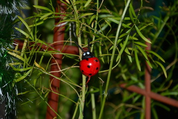 Image of a ladybug on a flower.