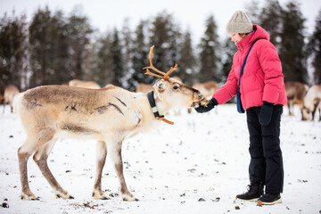 Cute girl on reindeer farm in Finland