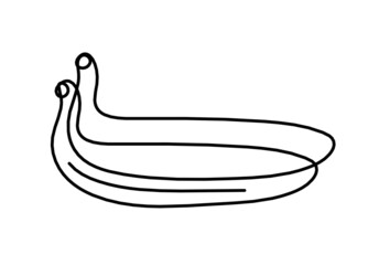 Fototapeta premium Drawing line banana on the white background. Vector