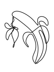 Drawing line banana on the white background. Vector