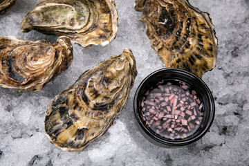 live oysters on ice
