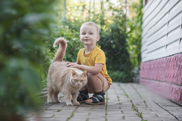 Little boy playing with a cat outdoors. - 459145509