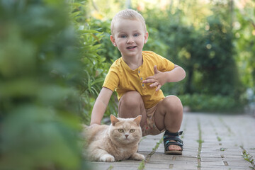 Little boy playing with a cat outdoors. - 459145540