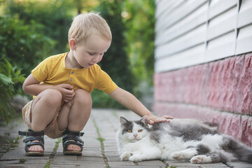 Little boy playing with a cat outdoors. - 459145549