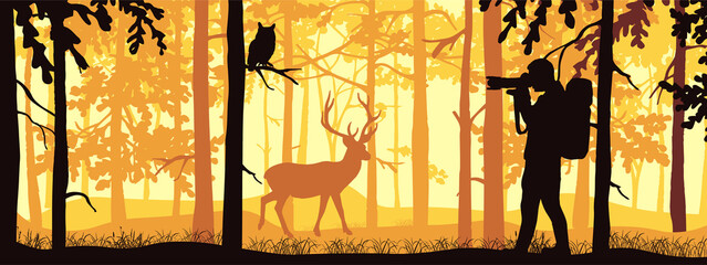 Photographer in forest take picture of deer. Silhouette of tree, man, animal. Wild nature landscape. Horizontal banner.