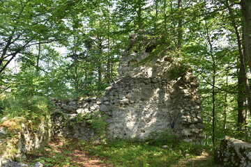 Fototapeta premium Burgruine Hohenberg, Österreich, 12.08.2021