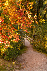 Naklejka premium Weiher, See in Ittling bei Straubing im Herbst