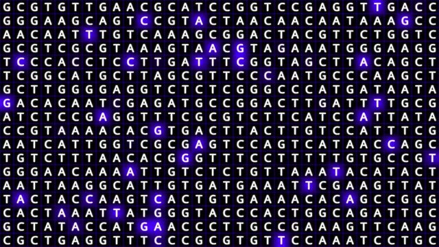 Loopable: Genetic mapping DNA sequence analysis abstract background with letters A,G,C,T in grid with blue squares. Big genomic data analysis concept.