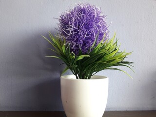 purple decorative flowers on white pots