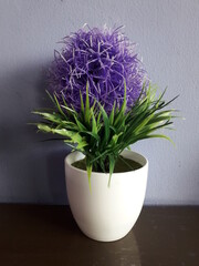 purple decorative flowers on white pots