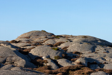 Fototapeta na wymiar Rounded rocks landscape with heather growing. Rugged terrain. Shot in Sweden, Scandinavia