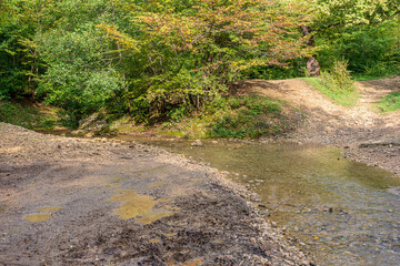 The beginning of autumn in nature, walking through the forest on a sunny day on a primer.