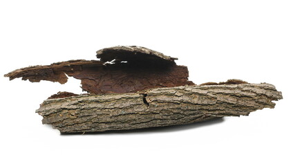 Obraz premium Tree rotten bark roll isolated on white background