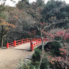 bridge over the river