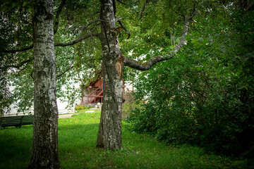 Travel to the city of Pereslavl-Zalessky, monasteries, temples, nature
