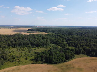 Naklejka premium Green deciduous forest next to a farm field. Landscape from a bird's eye view. Sunny weather.