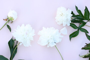 Mockup invitation, blank paper greeting card, pink table and peonies. Flower background. Flat lay, top view.