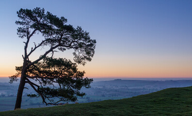 Fototapeta na wymiar sunrise on the horizon silhouettes a lone scots pine tree with mist filled valley below in the vale of Pewsey below; Martinsell Hill, Wiltshire, North Wessex Downs AONB