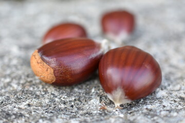 Castañas