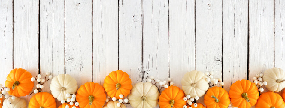 Autumn bottom border of orange and white pumpkins and berries on a white wood background. Top view with copy space.