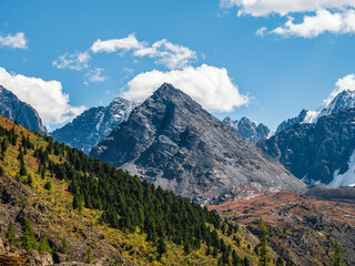 Fototapeta premium Summer high-altitude alpine landscape with a snow-capped mountain peak and sharp rocks and a forest in a valley under a cloudy blue sky.