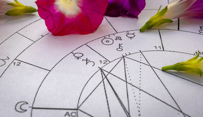 Detail of printed astrology chart with purple morning glory flowers in the background