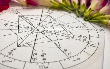 Detail of printed astrology chart  with Venus and Mercury planets; purple morning glory flowers in...