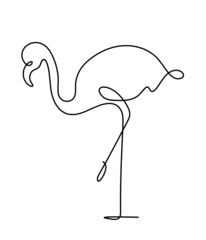 Silhouette of abstract flamingo as line drawing on white. Vector