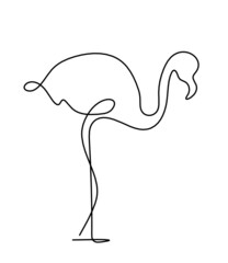 Silhouette of abstract flamingo as line drawing on white. Vector