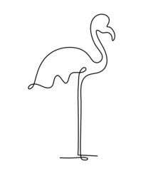 Silhouette of abstract flamingo as line drawing on white. Vector