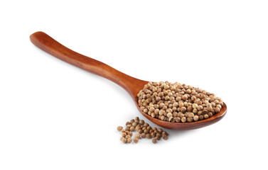 Dried coriander seeds with wooden spoon on white background