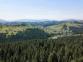 Green mountains of the Ukrainian Carpathians on a sunny summer morning. Coniferous trees on the mountain slopes and green grass. Aerial drone view.