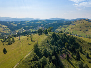 Fototapeta na wymiar Green mountains of the Ukrainian Carpathians on a sunny summer morning. Coniferous trees on the mountain slopes and green grass. Dirt road on the mountainside. Aerial drone view.