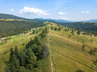 Fototapeta na wymiar Green mountains of the Ukrainian Carpathians on a sunny summer morning. Coniferous trees on the mountain slopes and green grass. Dirt road on the mountainside. Aerial drone view.