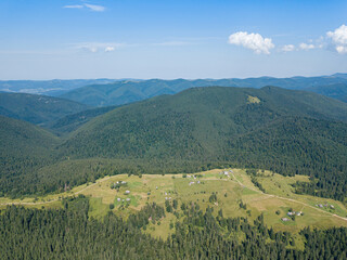 Obraz premium Green mountains of the Ukrainian Carpathians on a sunny summer morning. Coniferous trees on the mountain slopes and green grass. Aerial drone view.