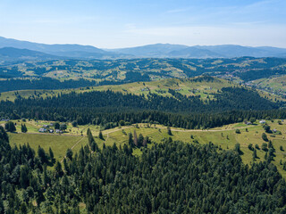 Green mountains of the Ukrainian Carpathians on a sunny summer morning. Coniferous trees on the mountain slopes and green grass. Aerial drone view.