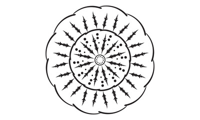 Premium Vector Mandala Design 