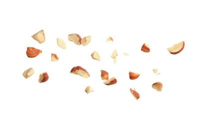 Pieces of tasty hazelnuts on white background