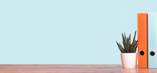 Blue and orange document binders or lever arch file on an office shelf or desk. Cactus in a pot....