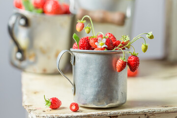 Healty wild strawberries straight from garden. Red wild strawberries.