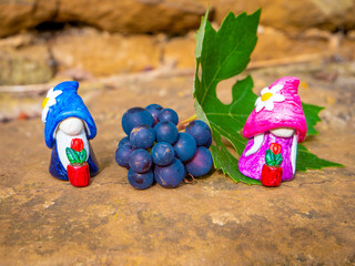 Gnome Couples near grape in the garden