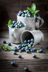 Sweet blueberries straight from garden. Freshly harvested fruits.