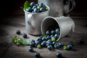 Sweet blueberries freshly picked from garden. Freshly harvested fruits.