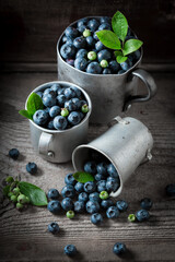 Sweet blueberries straight from garden. Fruits full of vitamins.