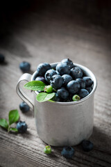 Healthy blueberries straight from garden. Fruits full of vitamins.