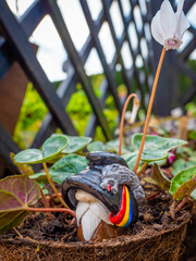 Romanian Decebalus gnome in a flower pot