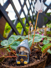 Preacher gnome in a flower pot