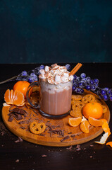 A mug of hot chocolate with cream and cinnamon stick marshmallow